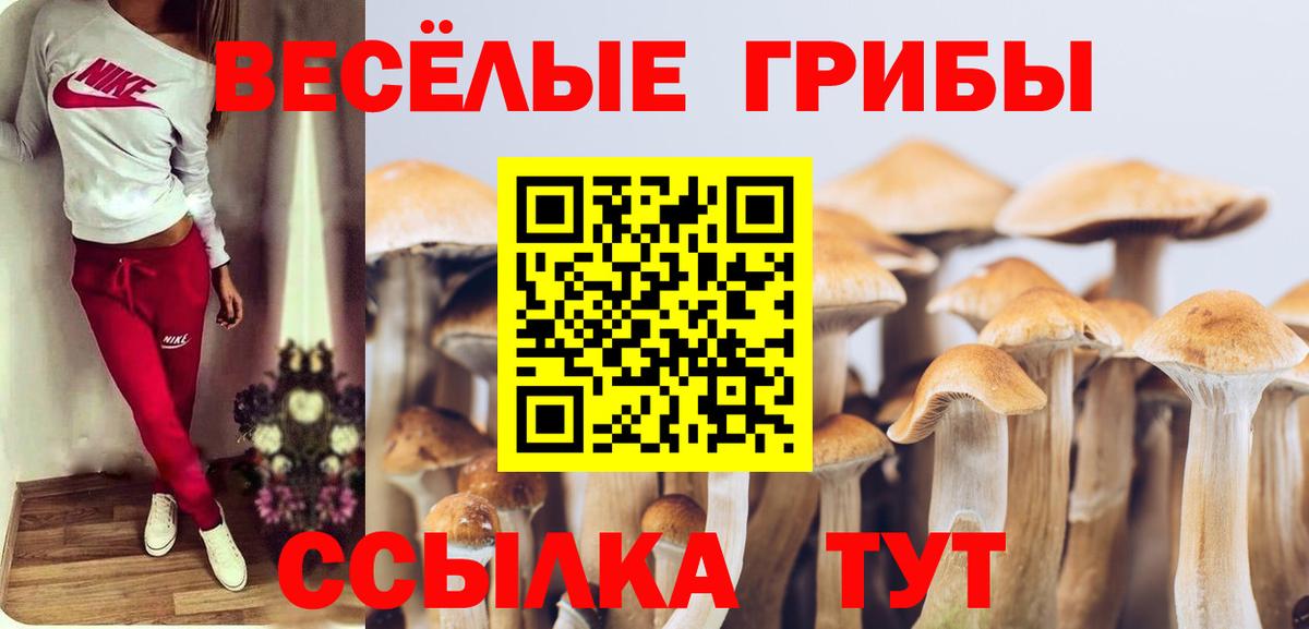 Псилоцибиновые грибы мухоморы Советский